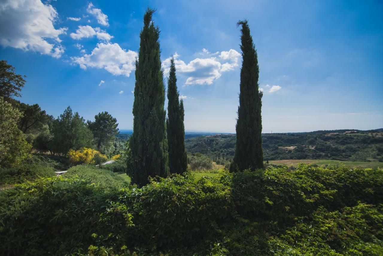 Villa Cava Alta Riparbella Exterior photo